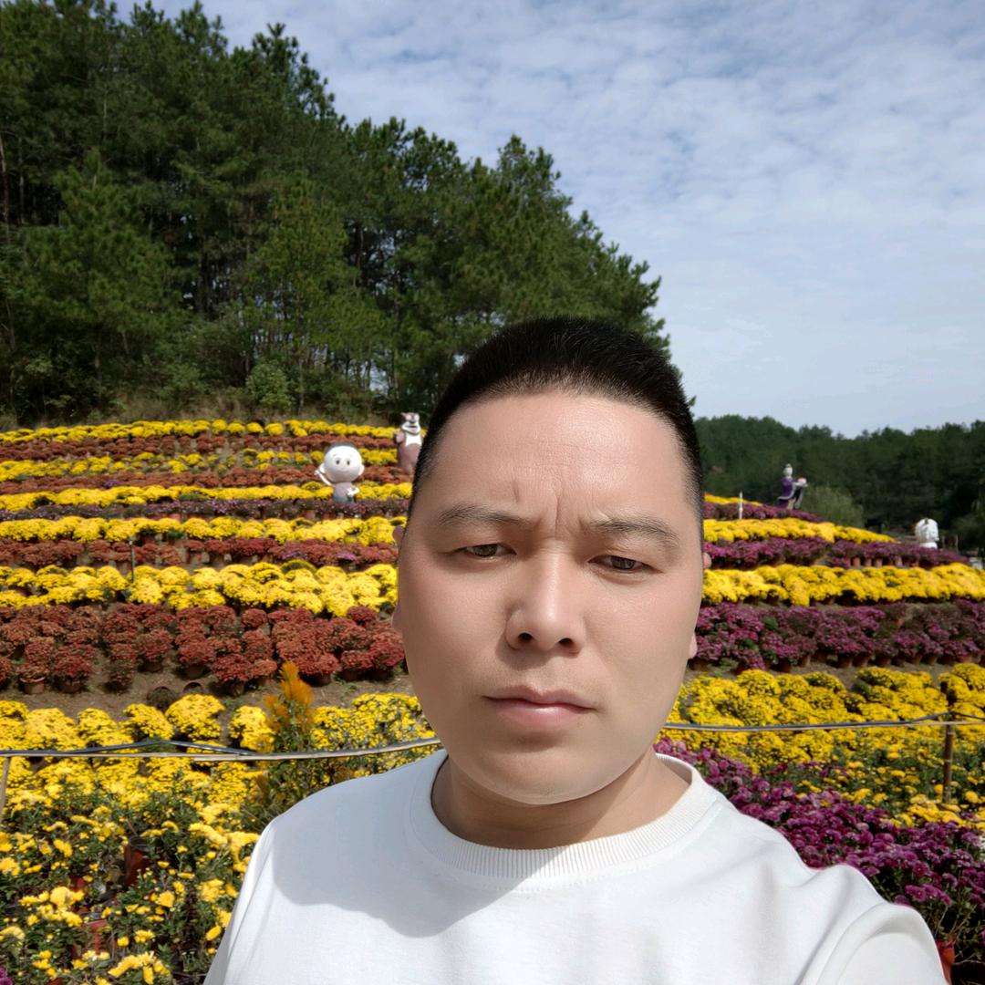 石来运转6666