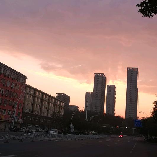 善盟商社.红海真品