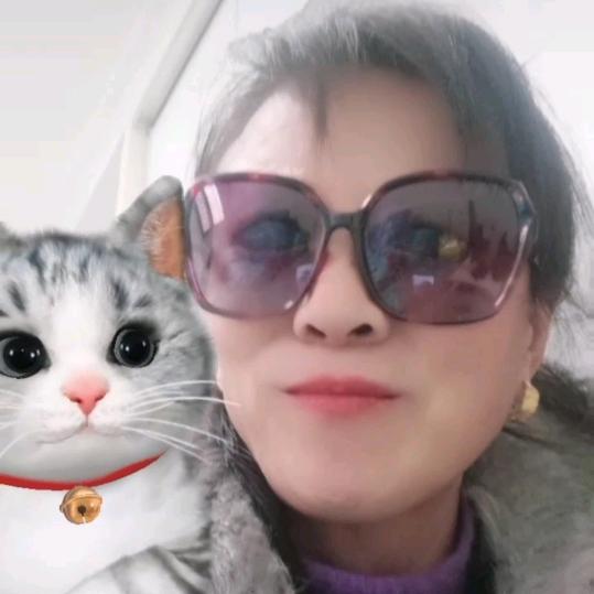 家家乐专业保洁