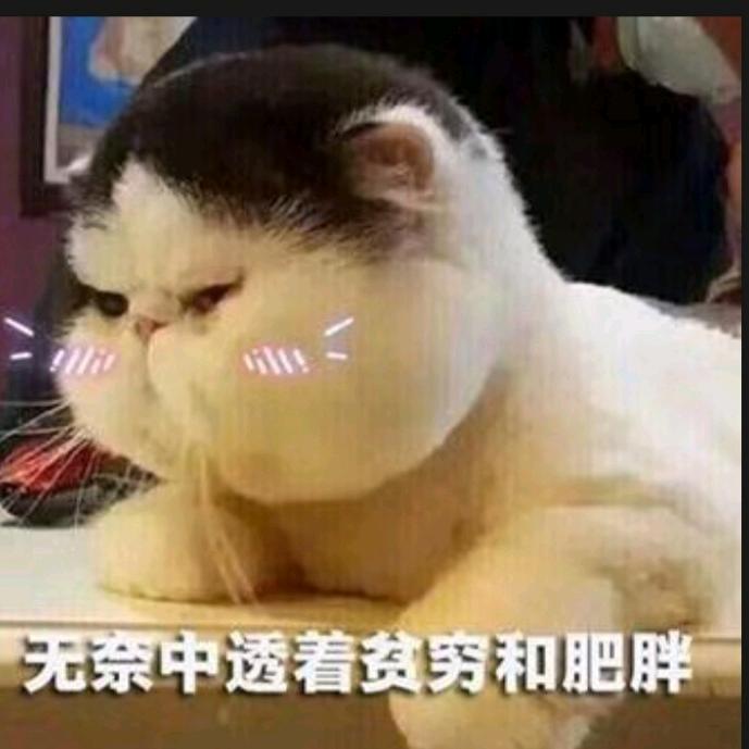 本淑