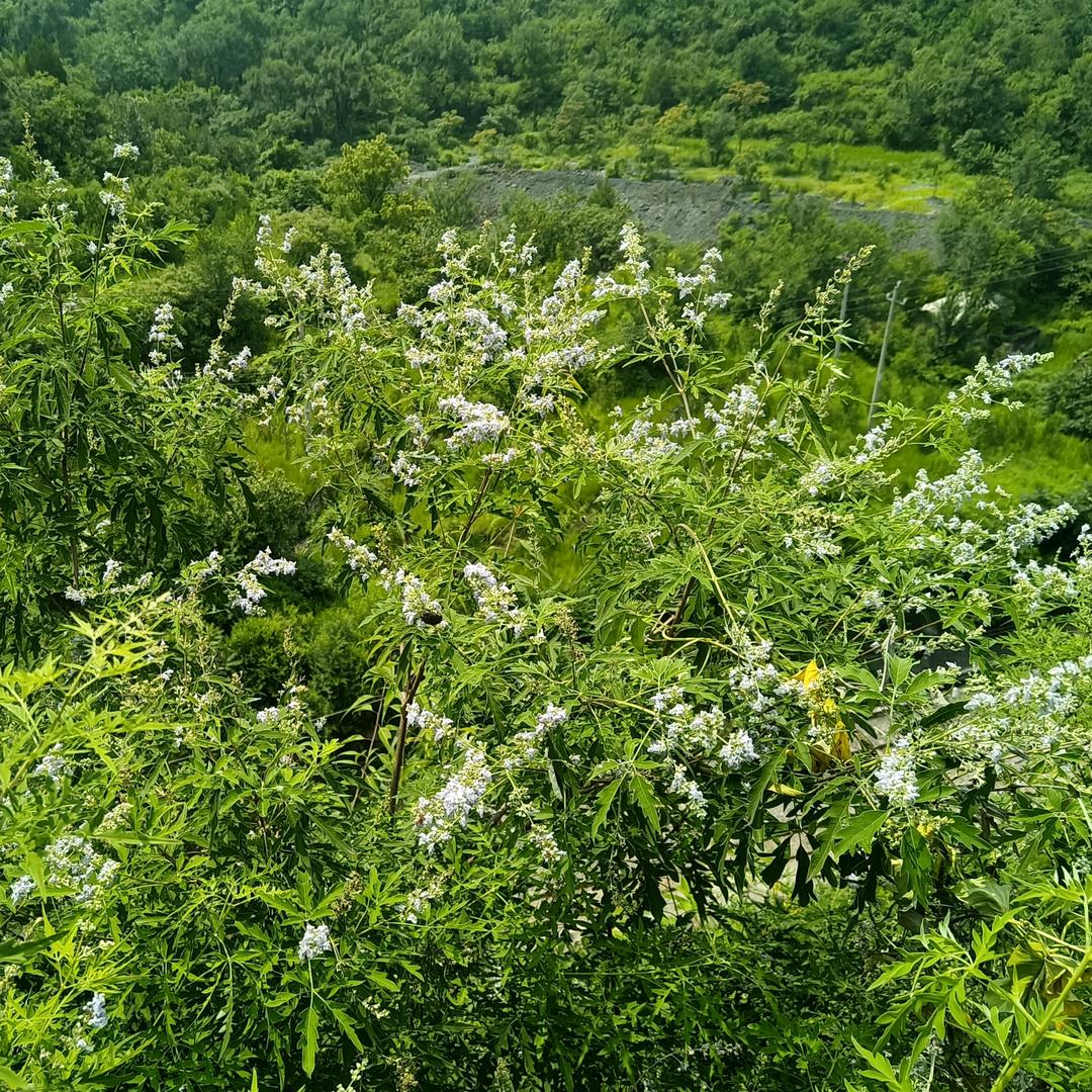 开心每一天