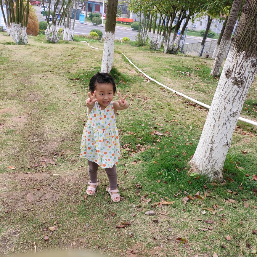 小杨