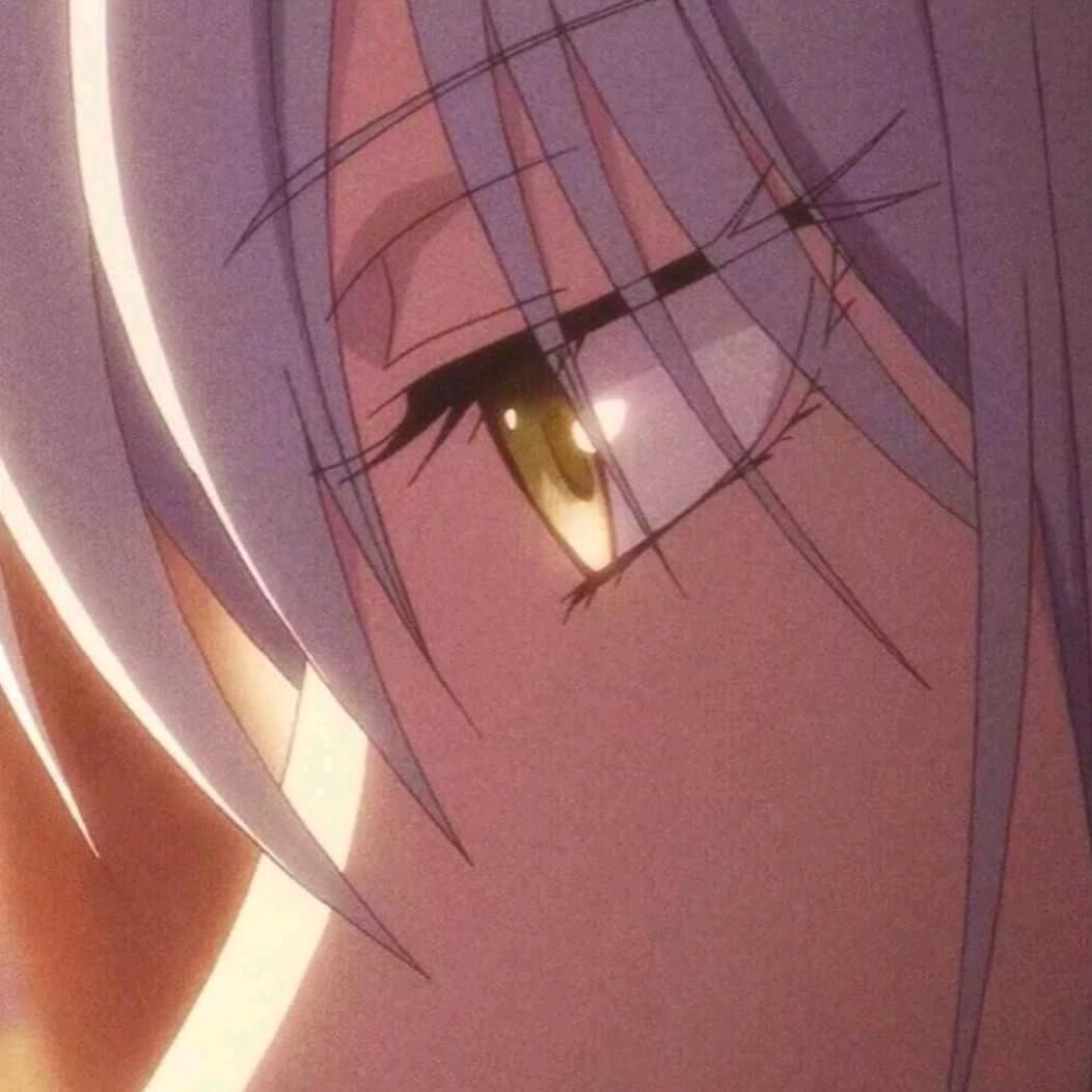 九两木
