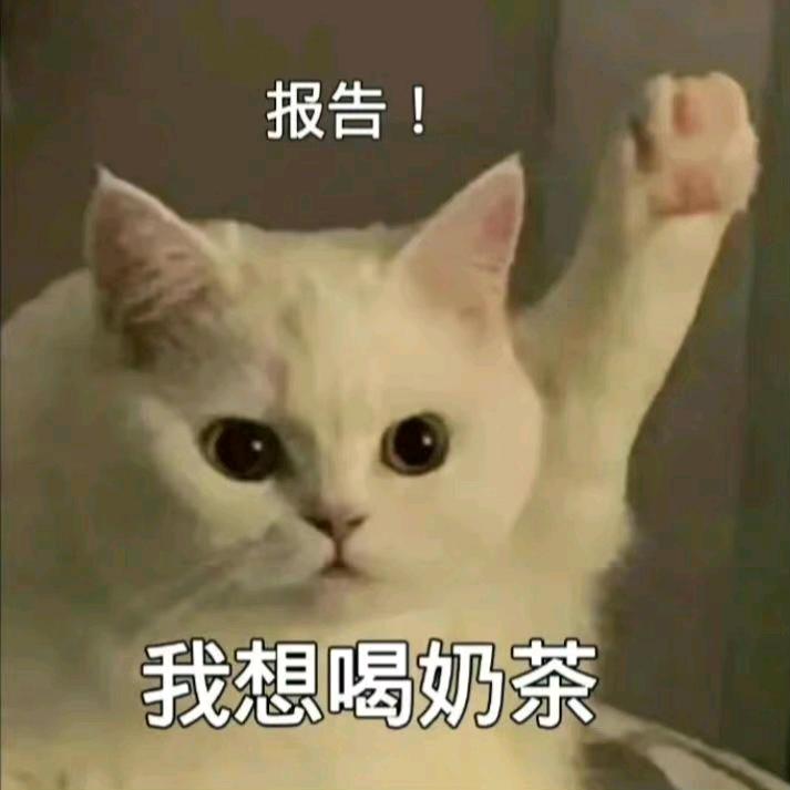 就吃亿点点