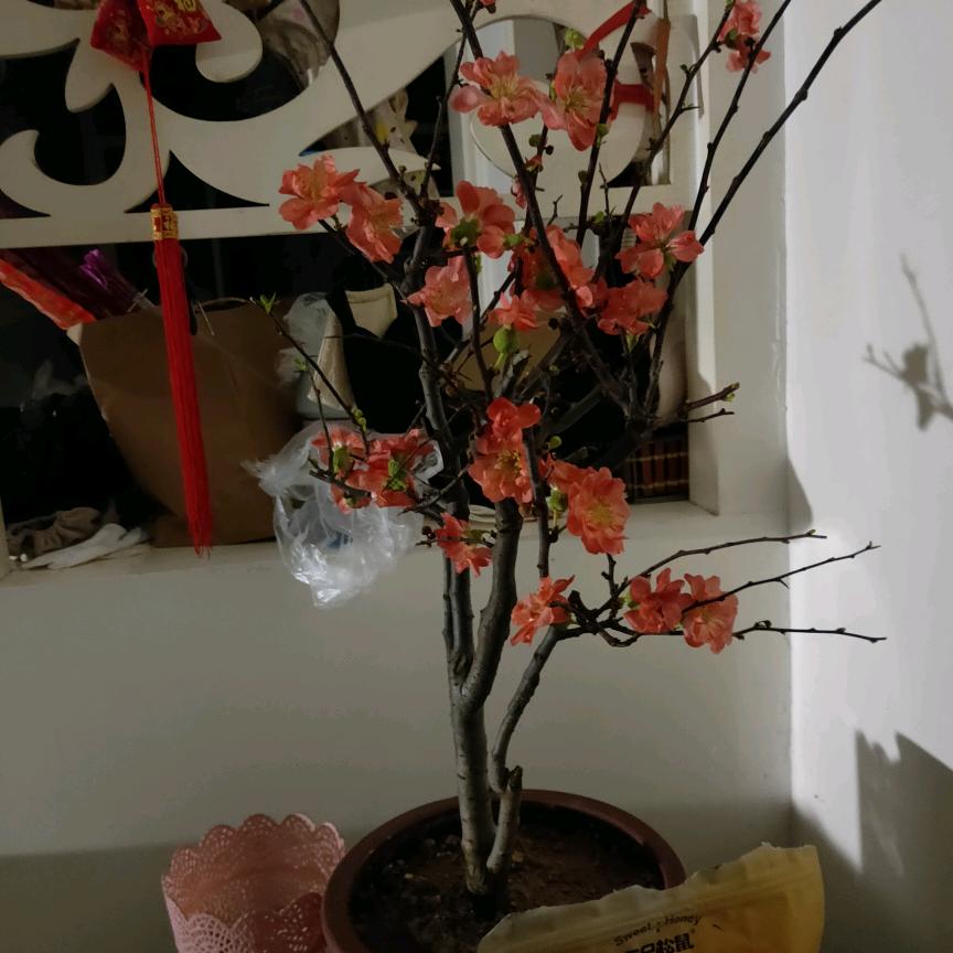 以心会友