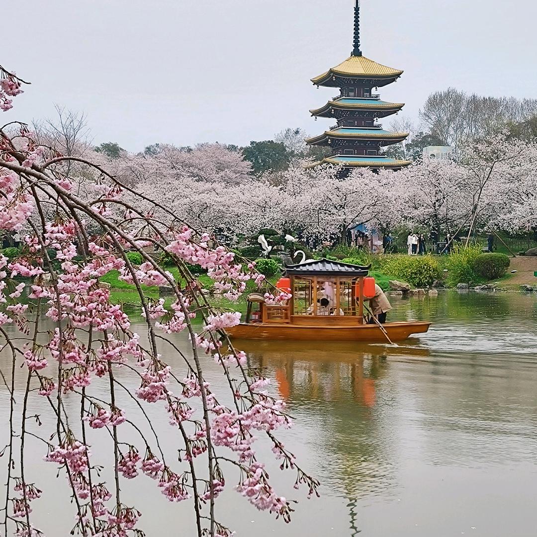 秋风落叶(拒私聊)