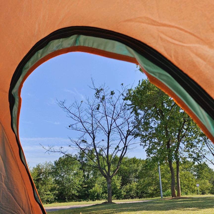 秋头鑫头糯糯头