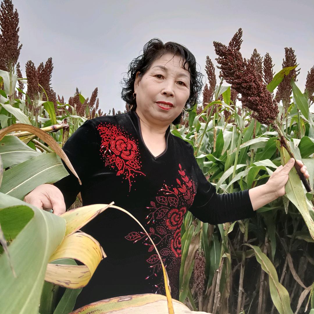 临淄北站音响大姐