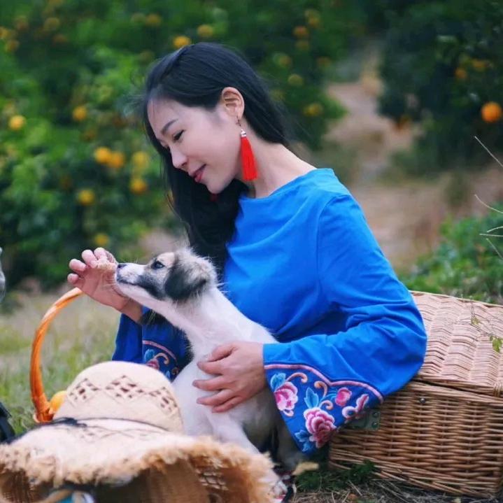 玉娇龙