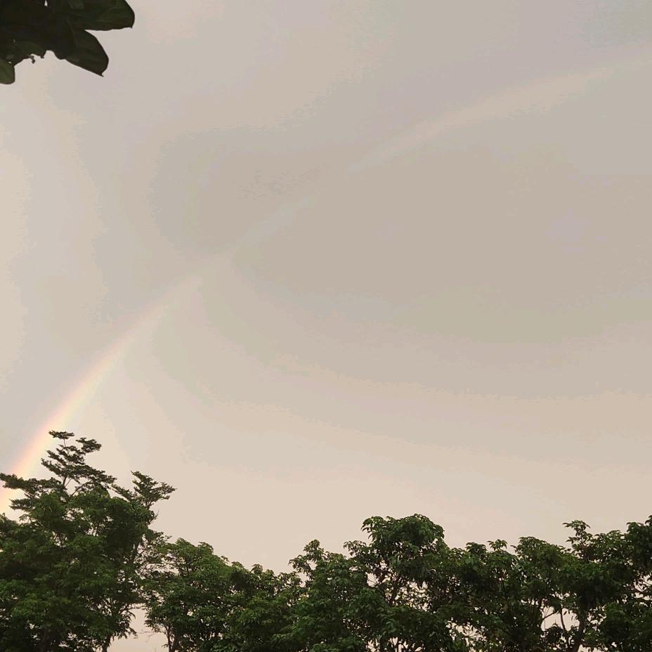 调皮影视