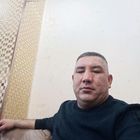 图尔迪·斯迪克