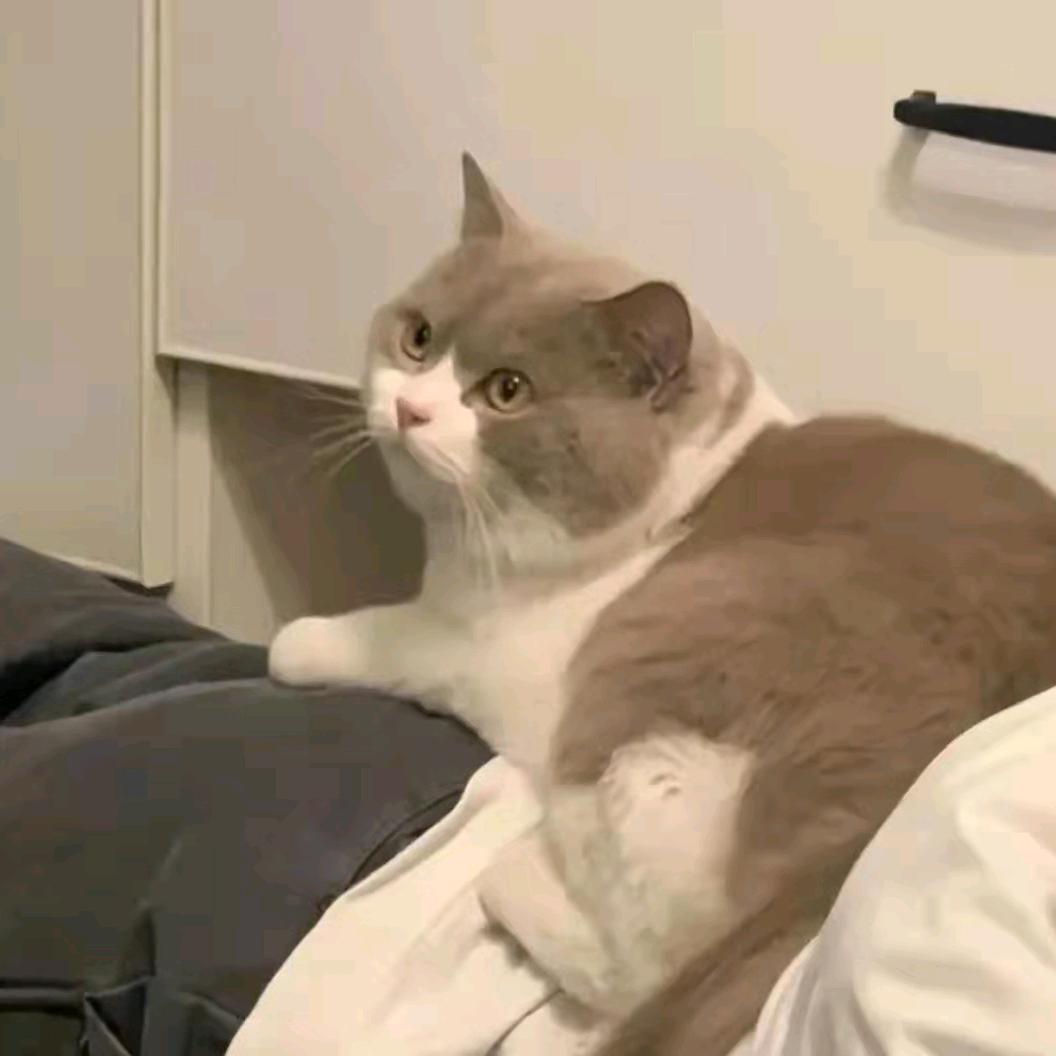 绝对是错觉