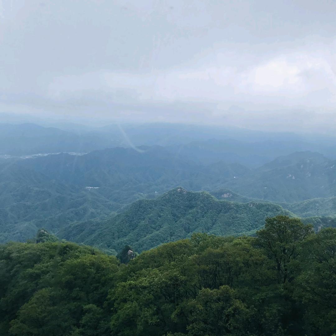 纳姐分享生活