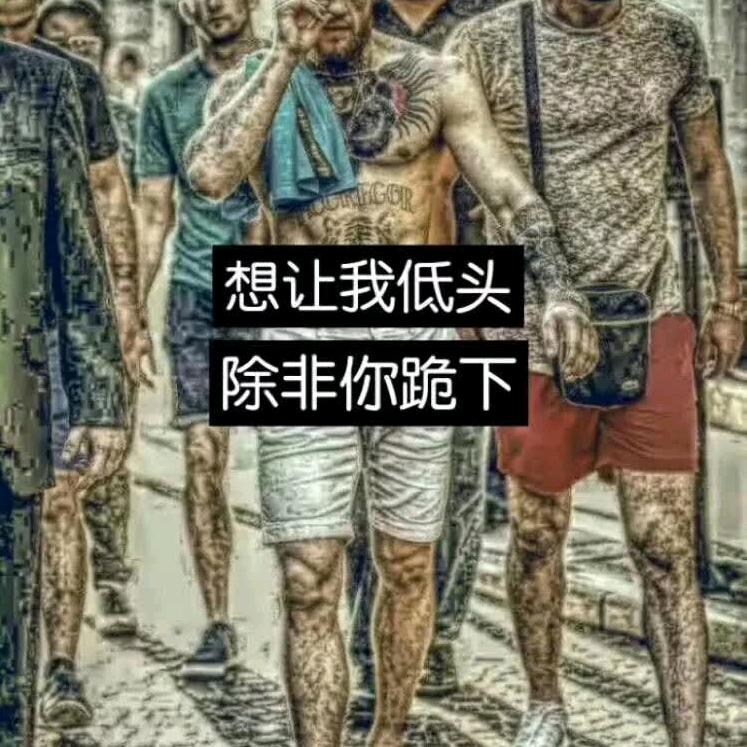 蚂蚁靠🐘