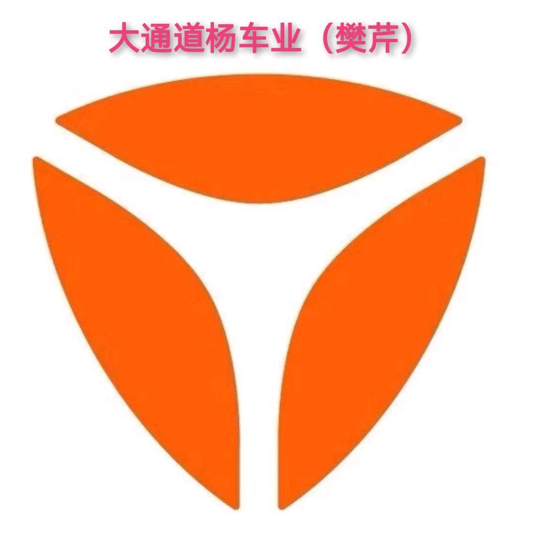 淮南雅迪（大通道杨车业）