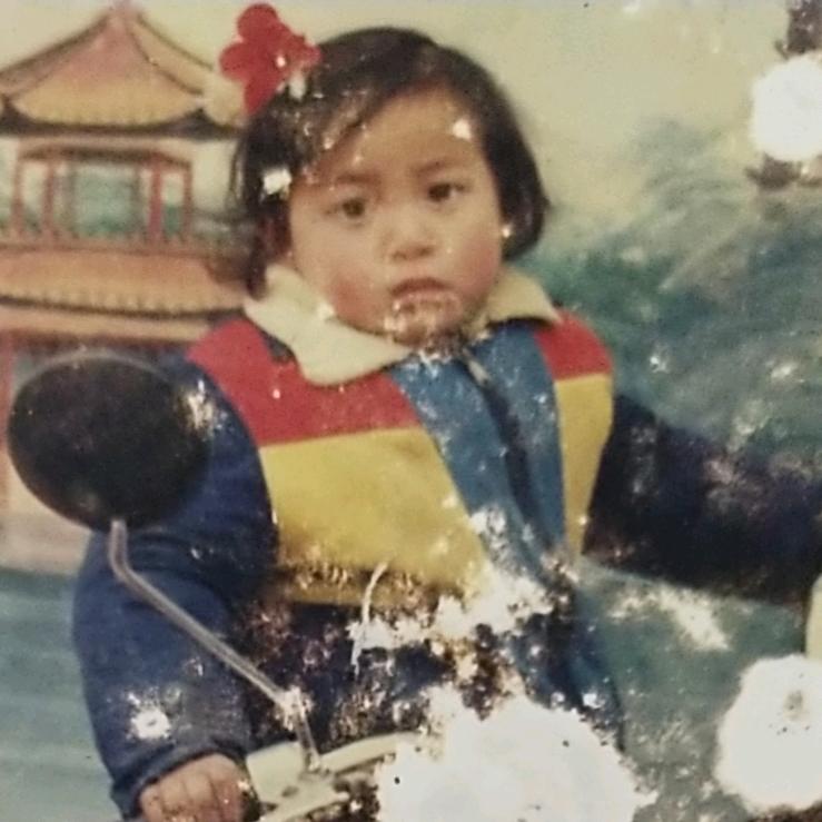 平原的狼
