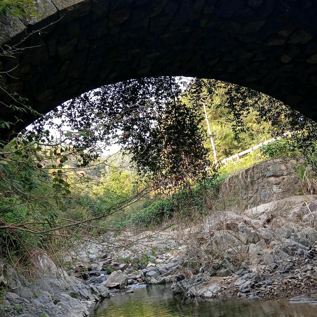 龙居云峰