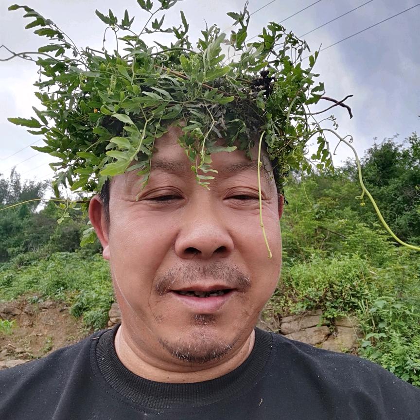 充充路过