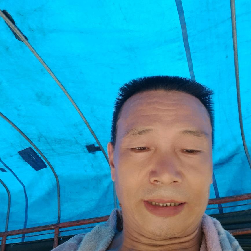 专业装柜，17.5平板车.卸货搬家搬厂