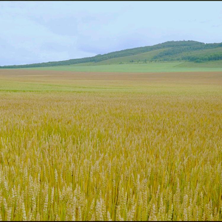 好客超市(华庭店)