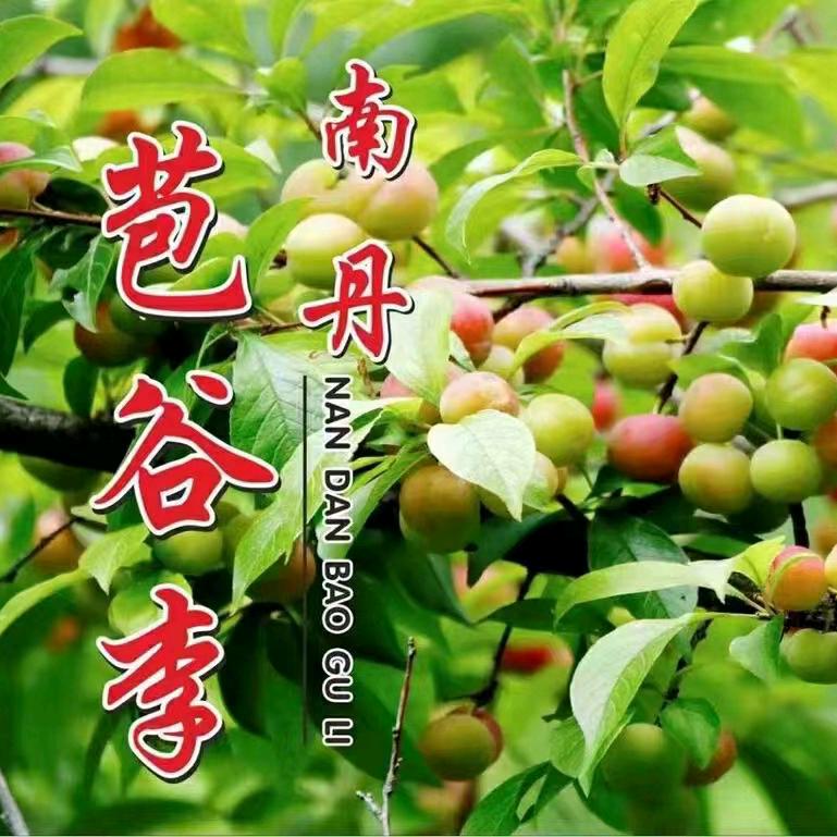 阿浪