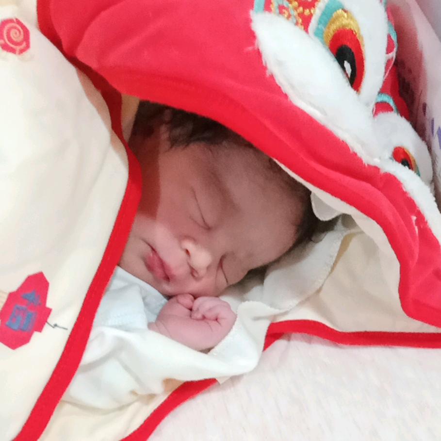 如虎添翼