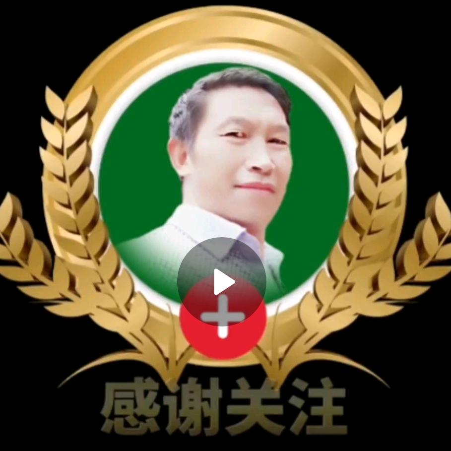 漂泊人生