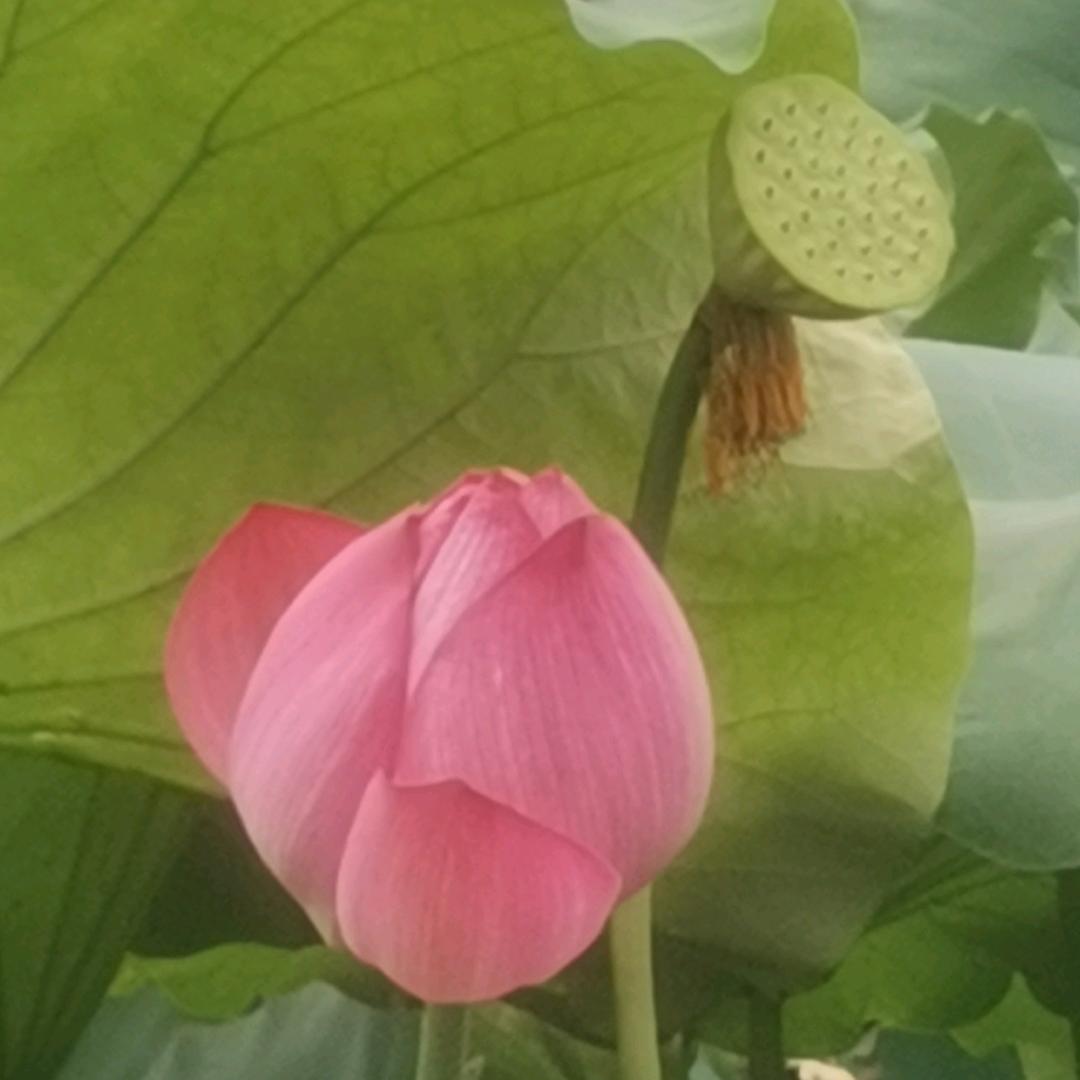 用户5128783710559瑞顺通汽修