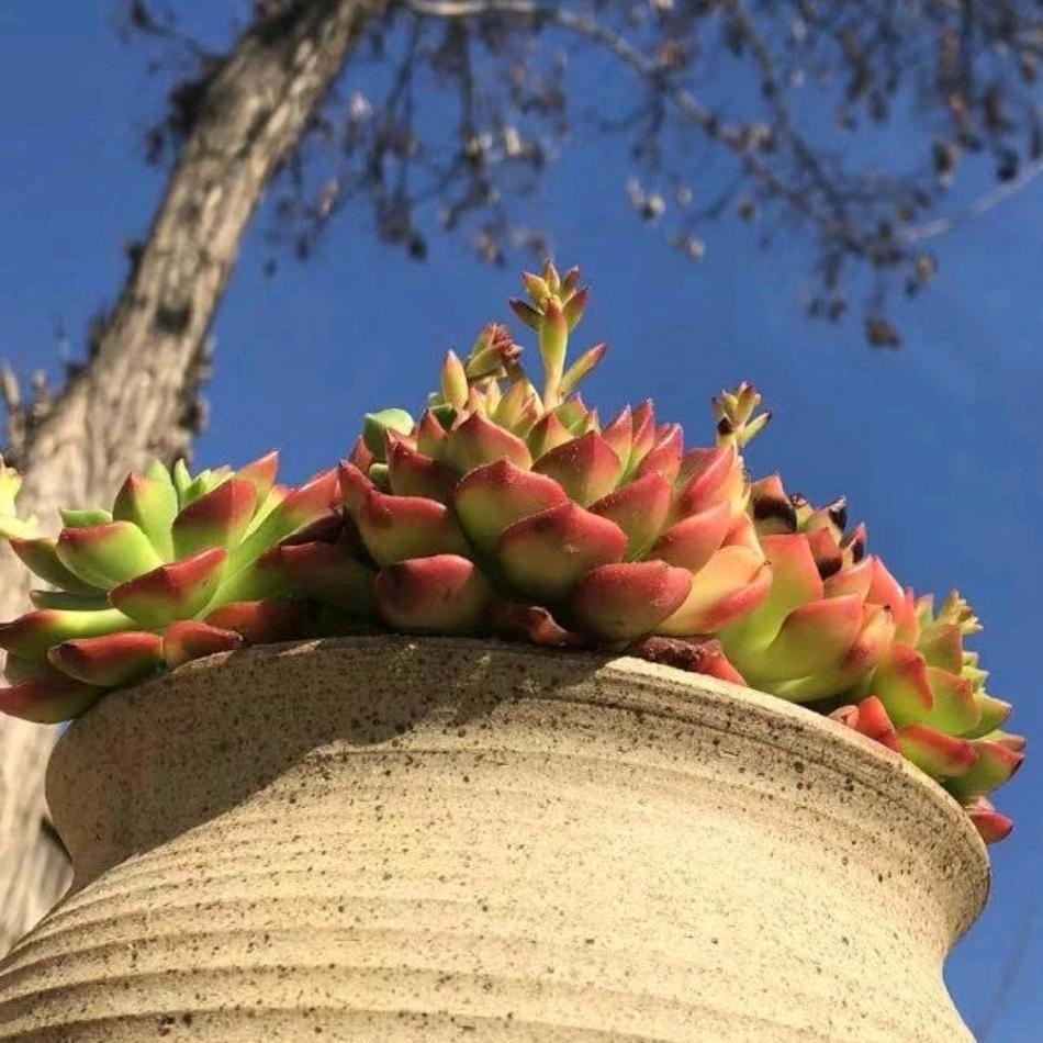 《💕静姐💕》