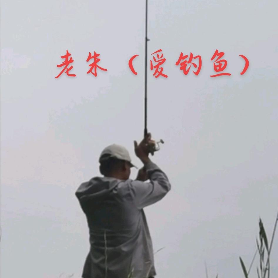 老朱（爱钓鱼）