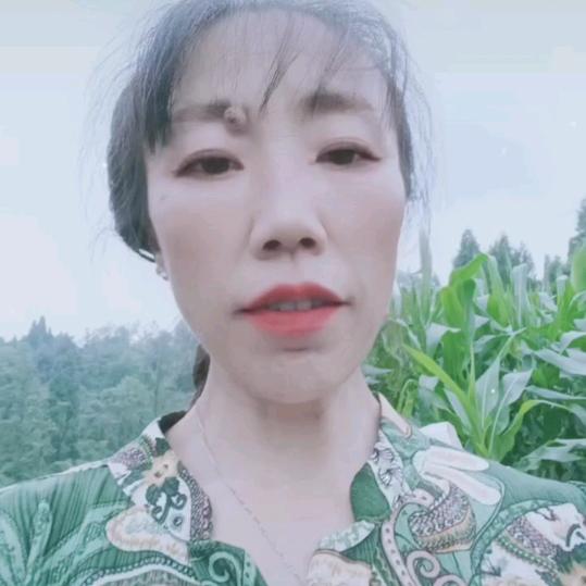 菊姐