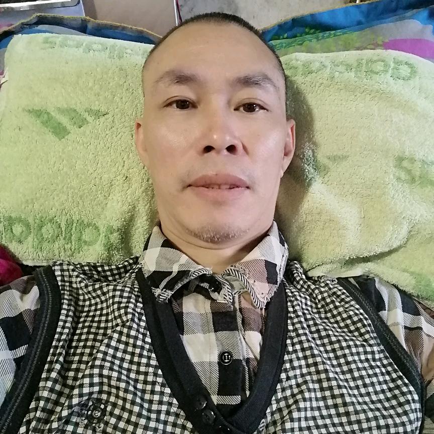 地衣的生命