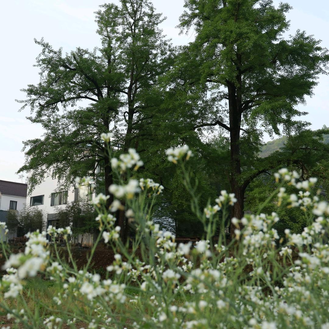 小峰