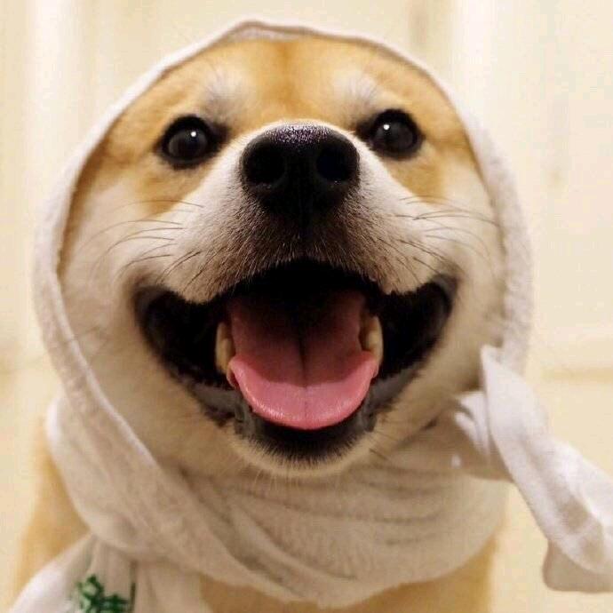 文知✨头像