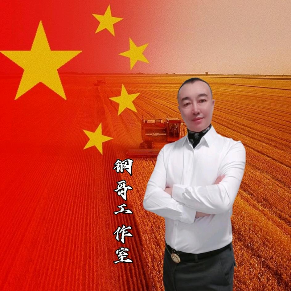 钢哥☀️工作室🇨🇳