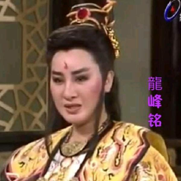花戏迷(请勿连赞)
