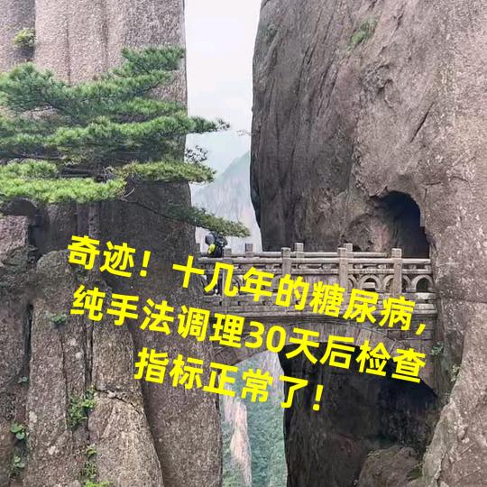 孤酒