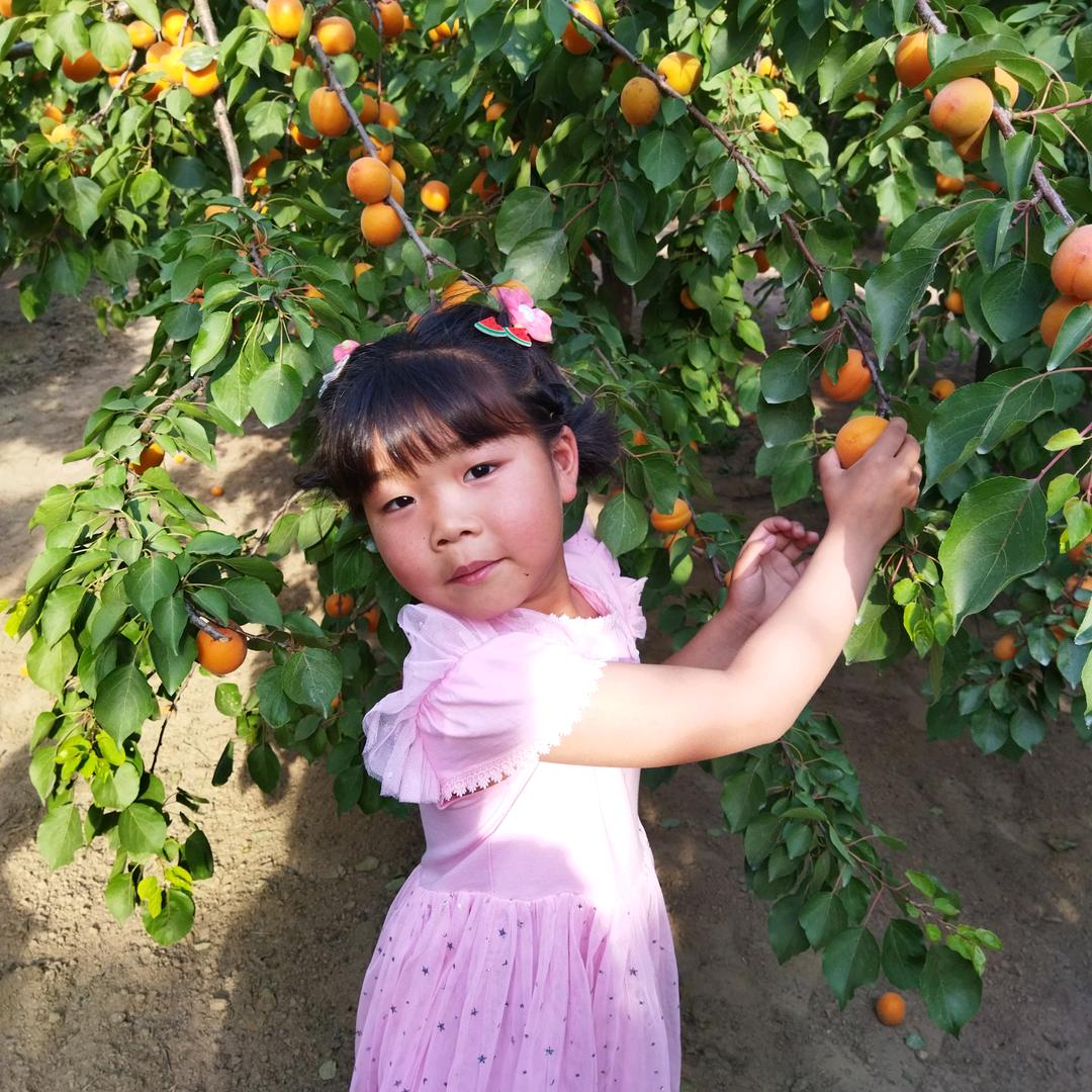 让世界充满爱