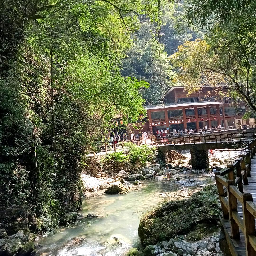 杜万鑫