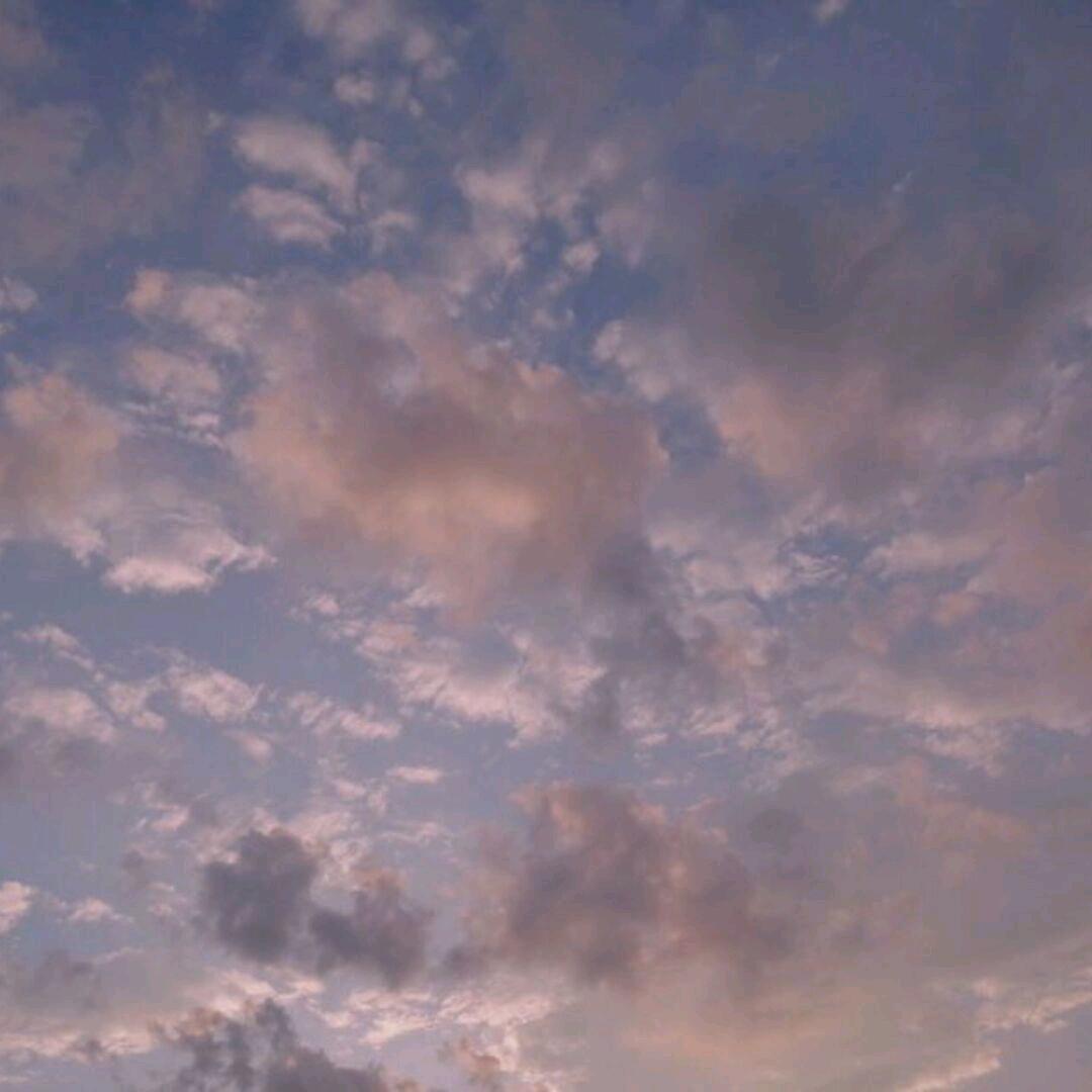 晚风吹起时