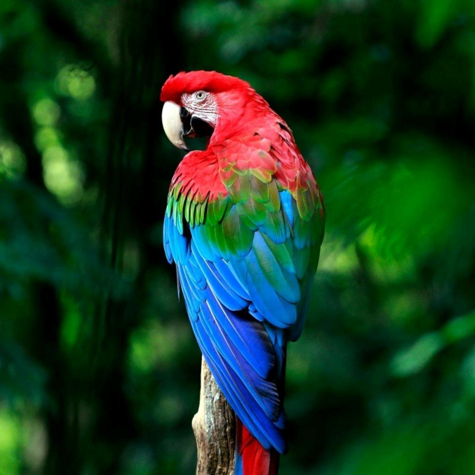 hux qiray🌻🌹🦋❤️💋1