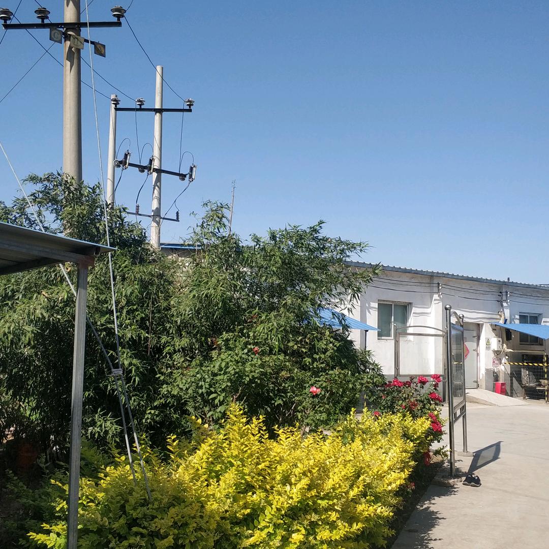 鹤壁市全家福食品有限公司