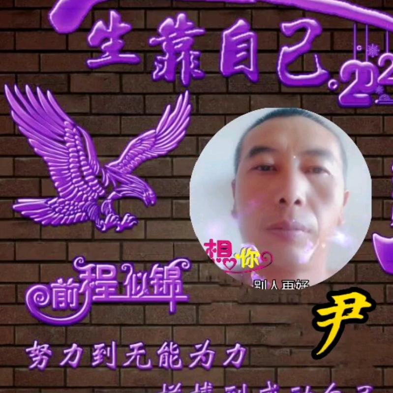 琦飞
