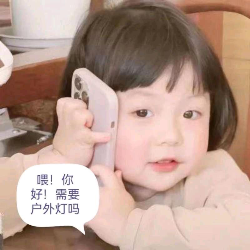 扬州路灯胡正艳