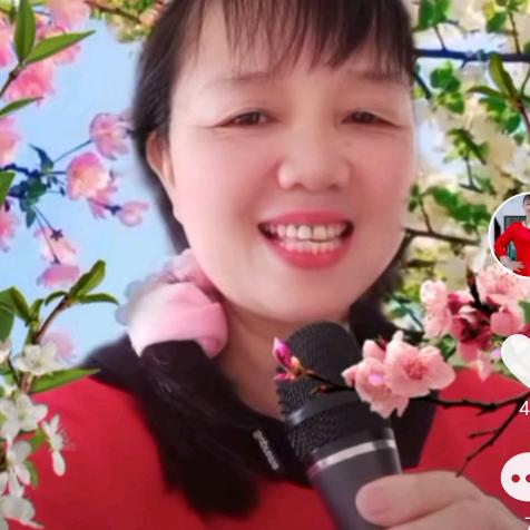 开心果