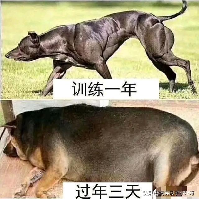 安哥