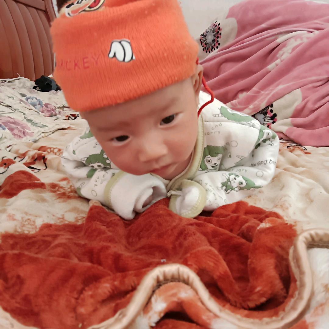 小宝泉