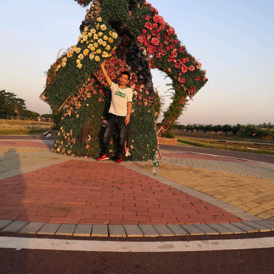 往后余生