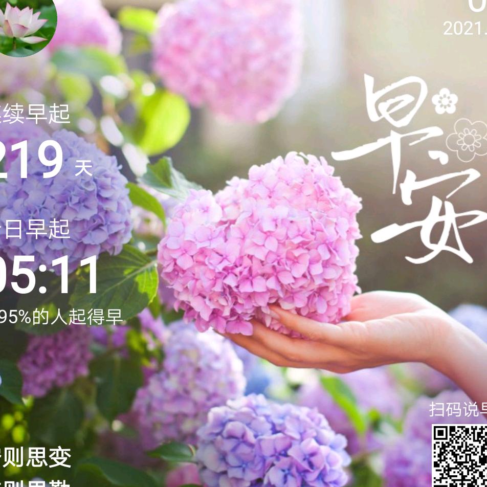 蓝天飞翔