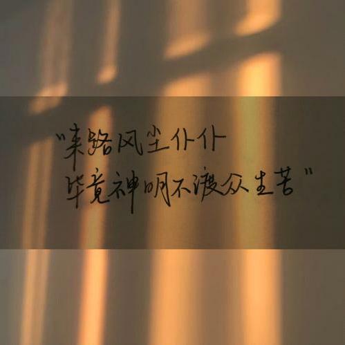 风很温柔，花很浪漫